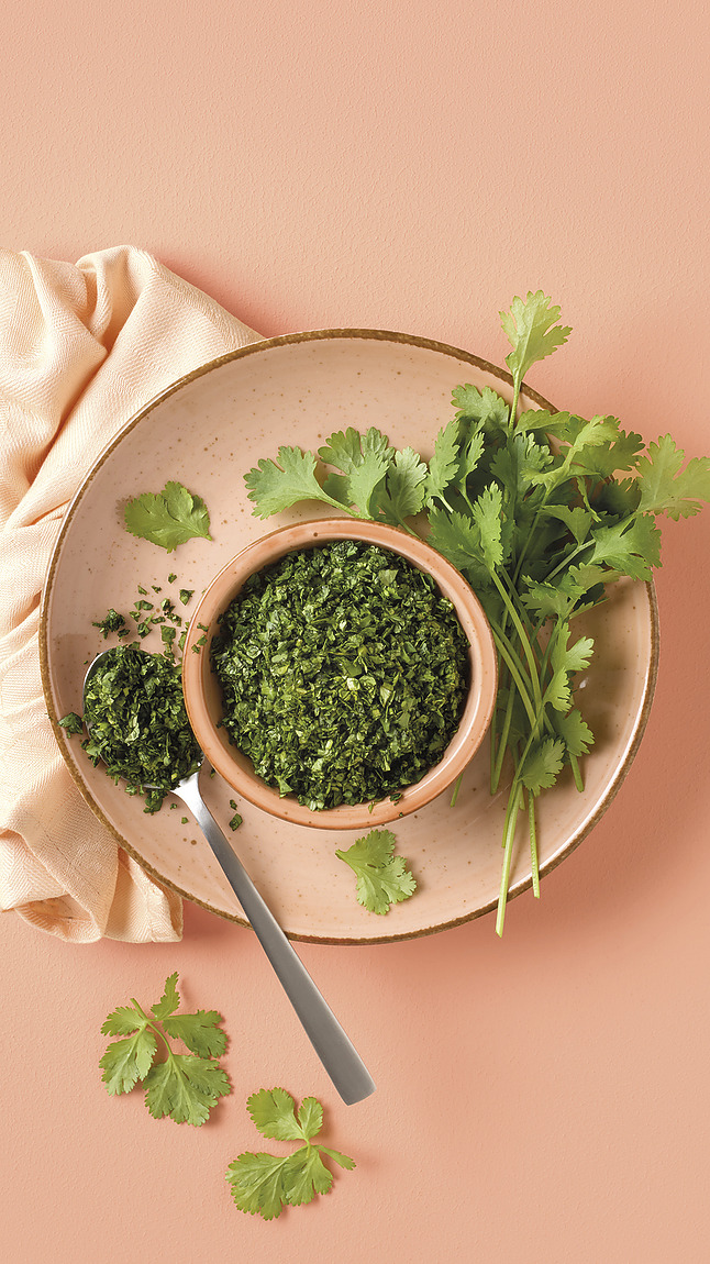 Koriander_web_34226 Koriander_web_34226