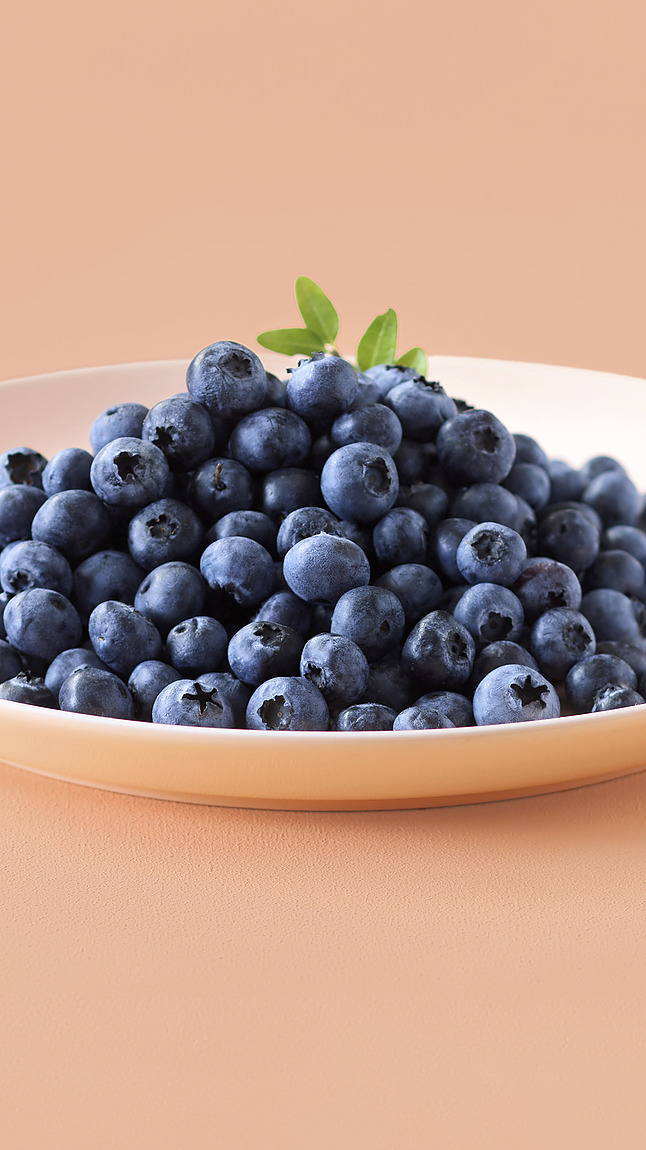 Heidelbeeren_detail_45111 Heidelbeeren_detail_45111