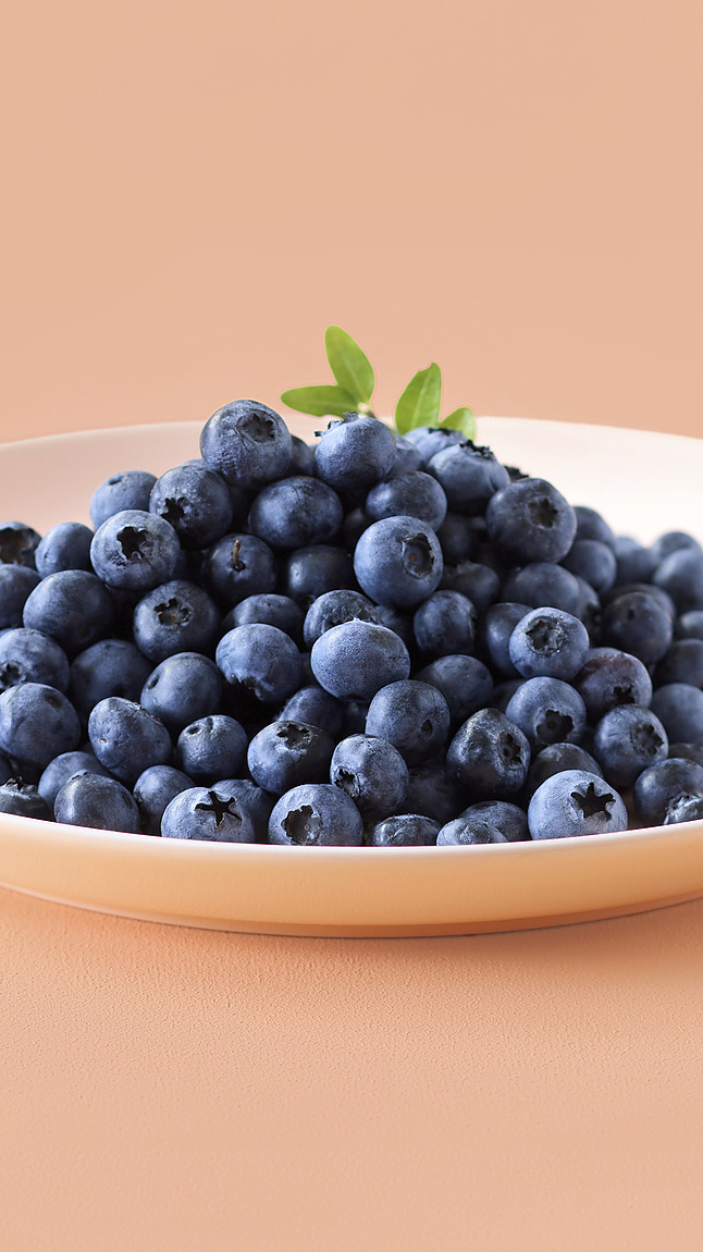 Waldheidelbeeren_detail_45090 Waldheidelbeeren_detail_45090