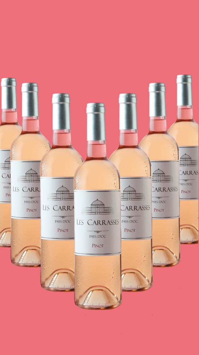 7x_Les_Carrasses_Pinot_Rose_web_31098 7x_Les_Carrasses_Pinot_Rose_web_31098