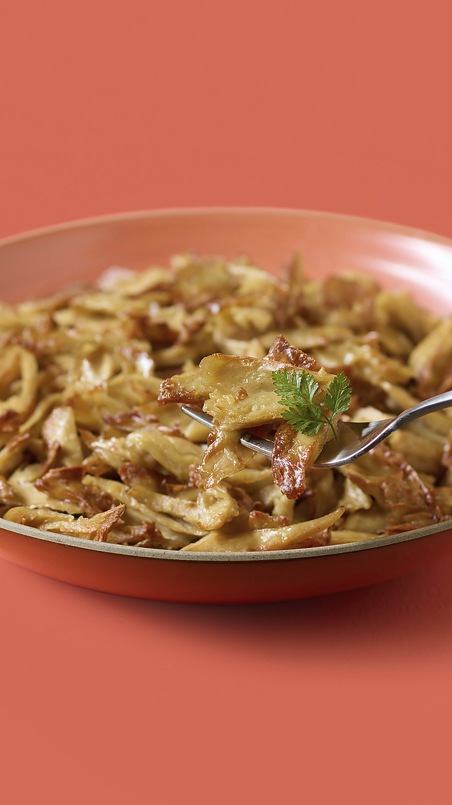 Vegetarisches_Pulled-Chicken_detail_34018 Vegetarisches_Pulled-Chicken_detail_34018