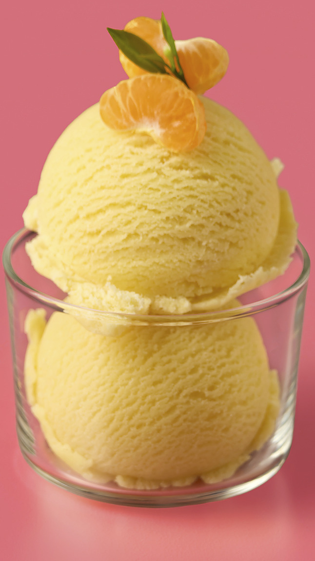 BIO_Mandarinen_Sorbet_detail_40103 BIO_Mandarinen_Sorbet_detail_40103