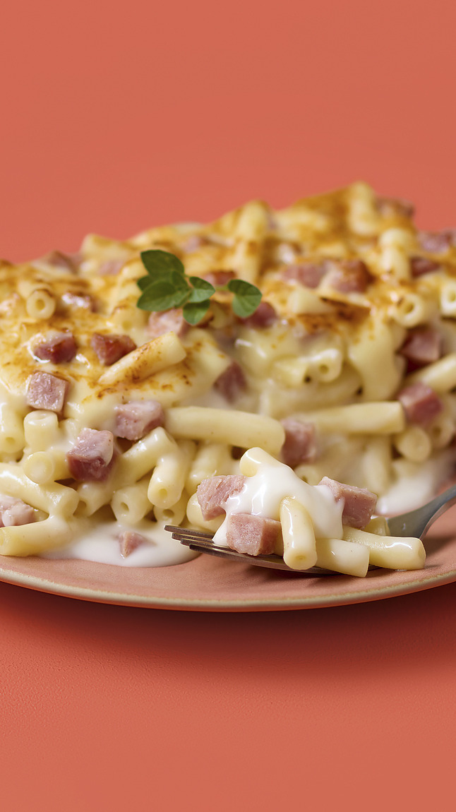 Makkaroni-Auflauf_detail_2443 Makkaroni-Auflauf_detail_2443