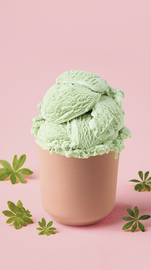 Waldmeister_web_40115 Waldmeister_web_40115