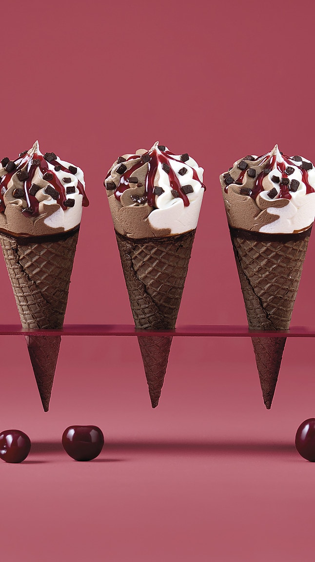 Schwarzwald_Hoernchen_web_40121 Schwarzwald_Hoernchen_web_40121