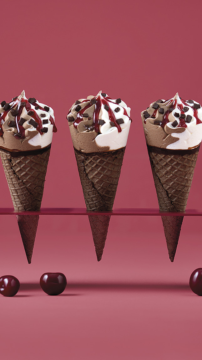 Schwarzwald_Hoernchen_web_40121 Schwarzwald_Hoernchen_web_40121