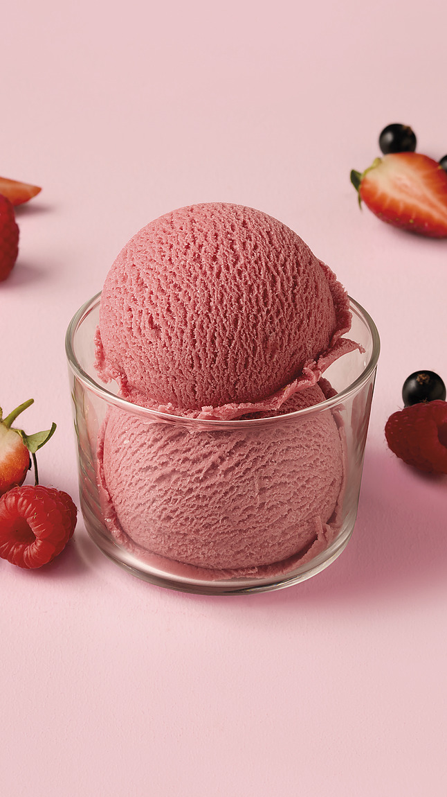 Waldfrucht Sorbet