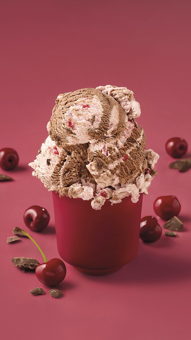 Schwarzwaelder_Art_web_40022 Schwarzwaelder_Art_web_40022