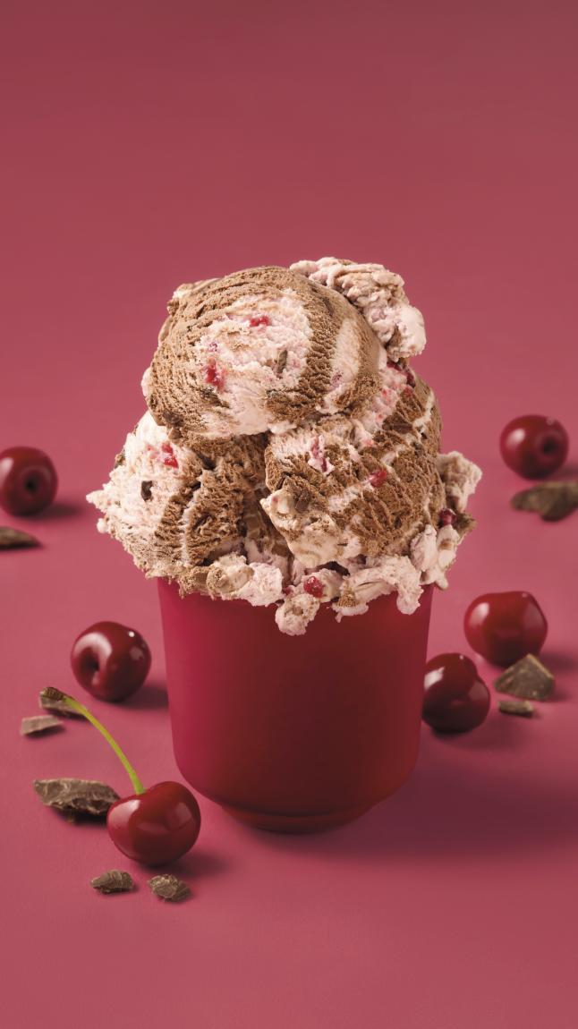 Schwarzwaelder_Art_web_40022 Schwarzwaelder_Art_web_40022