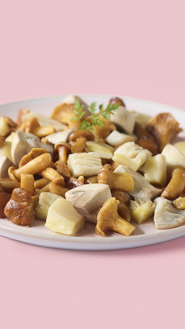 Feine_Pilzmischung_detail_5328 Feine_Pilzmischung_detail_5328