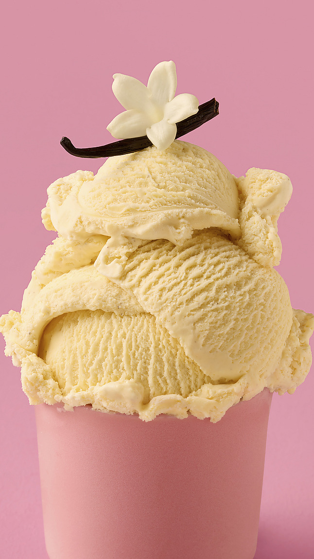 Vanille-Bourbon_detail_40025