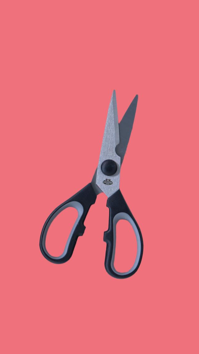 Vielzweckschere_BALLARINI_detail_34270