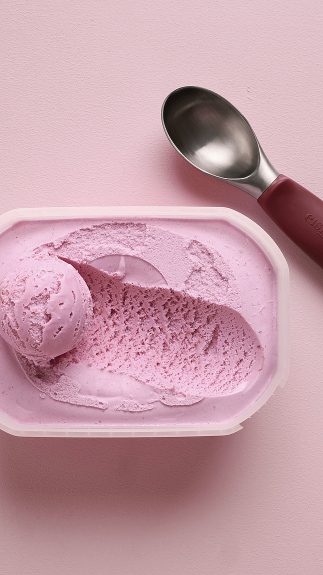 Eisportionierer_detail_75007 Eisportionierer_detail_75007