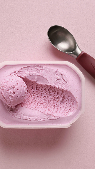 Eisportionierer_detail_75007 Eisportionierer_detail_75007