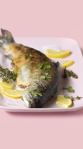 Regenbogenforellen_detail_6074