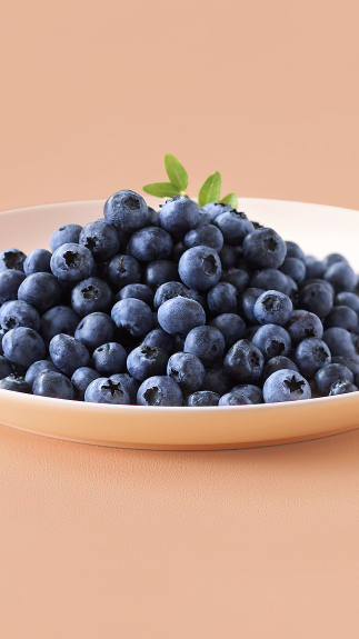 Heidelbeeren_detail_45111 Heidelbeeren_detail_45111