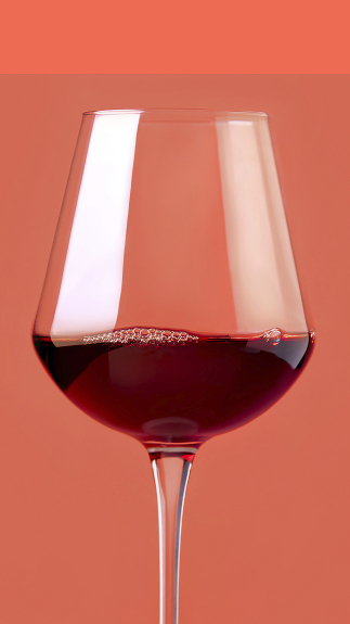 Domaine_de_La_Bastide_Merlot_detail_70064 Domaine_de_La_Bastide_Merlot_detail_70064