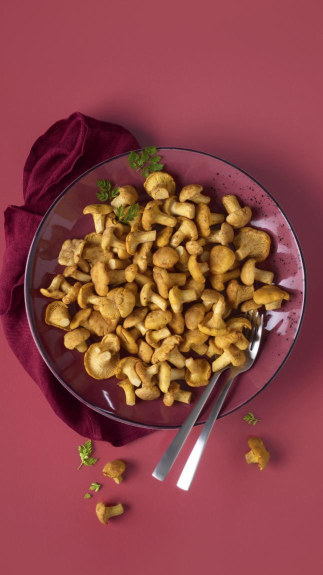 Pfifferlinge_web_5329