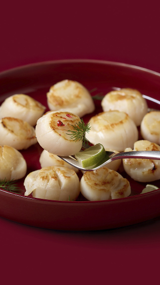 Jakobsmuscheln_detail_8211 Jakobsmuscheln_detail_8211