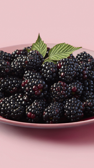 Brombeeren_detail_45116 Brombeeren_detail_45116