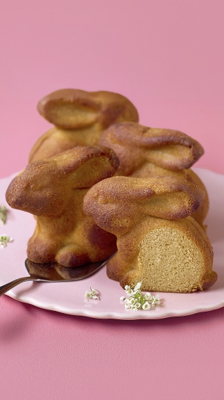 Kuchen-Haeschen_detail_65039 Kuchen-Haeschen_detail_65039