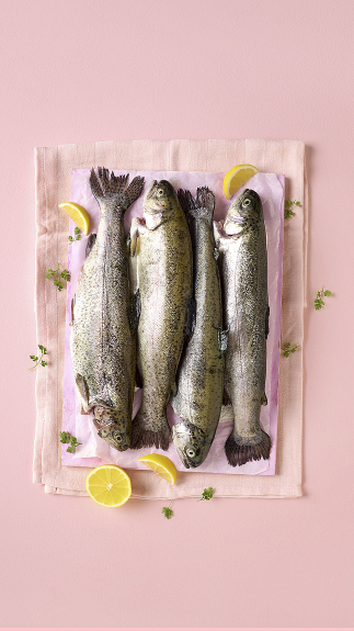 Regenbogenforellen_web_6074