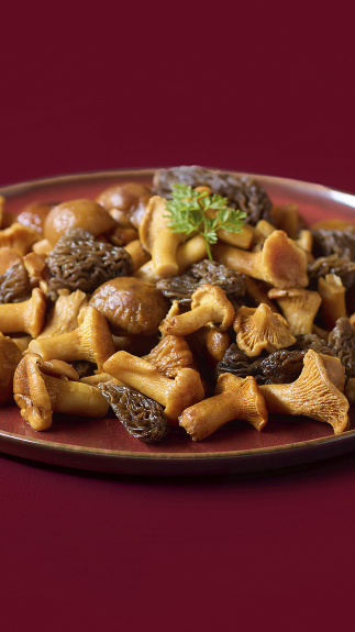 Feine_Wildpilz-Auslese_detail_2873