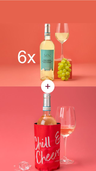 Kombi_6x_Pinot_Grigio_delle_Ve_web_31111 Kombi_6x_Pinot_Grigio_delle_Ve_web_31111