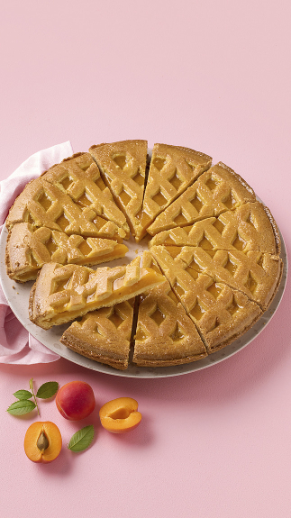 Aprikosenkuchen_web_65113 Aprikosenkuchen_web_65113