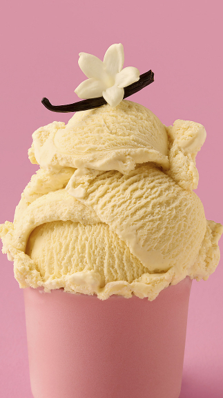 Vanille-Bourbon_detail_40025 Vanille-Bourbon_detail_40025