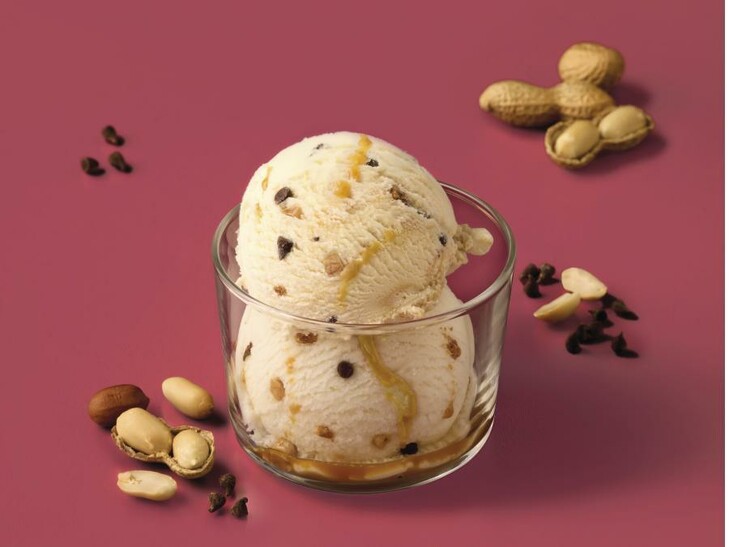 BIO Erdnuss Eis