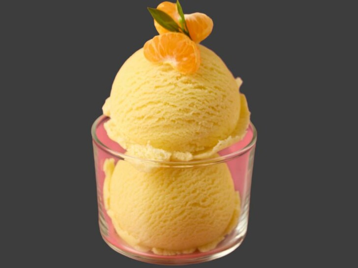 BIO Mandarinen Sorbet