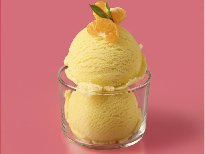 BIO Mandarinen Sorbet